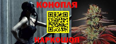 гидра Будённовск
