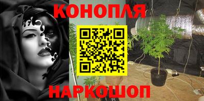 гидра Будённовск