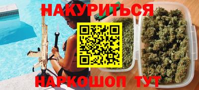 гидра Будённовск