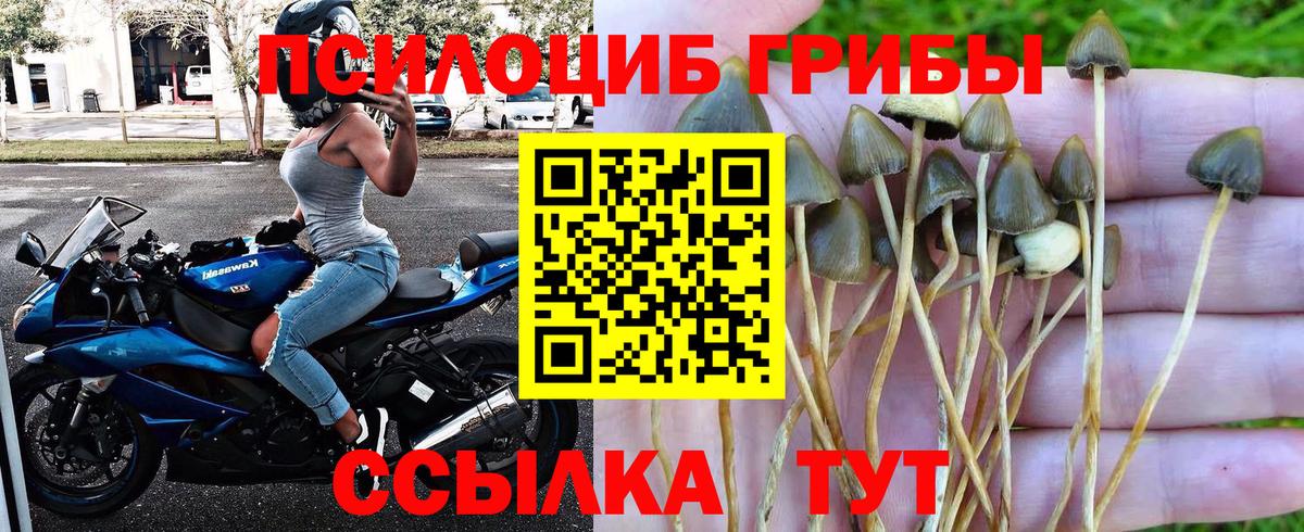 Коряжма  Галлюциногенные грибы MAGIC MUSHROOMS  Псилоцибиновые грибы GOLDEN TEACHER  Вход с VPN 