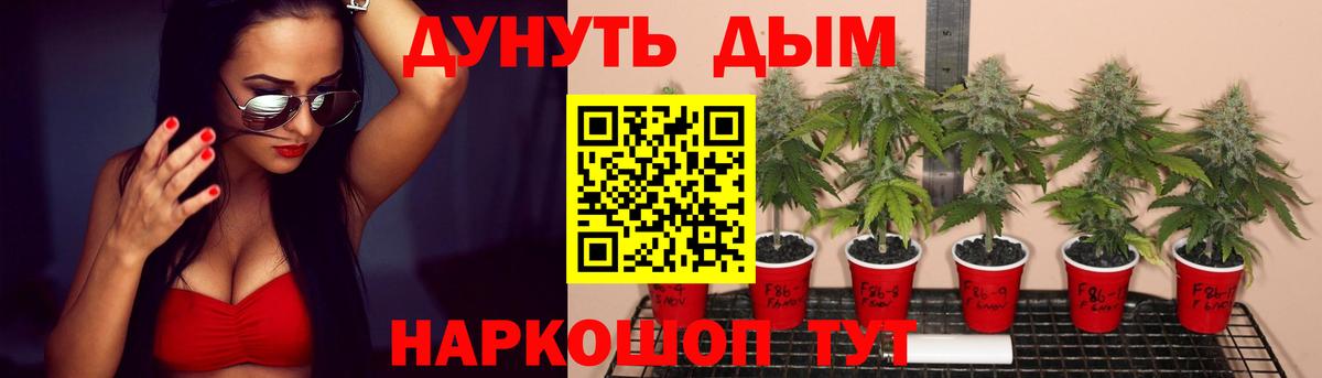 Бошки Шишки LSD WEED  Вход с VPN  МАРИХУАНА Bruce Banner  Коряжма  Конопля индика 